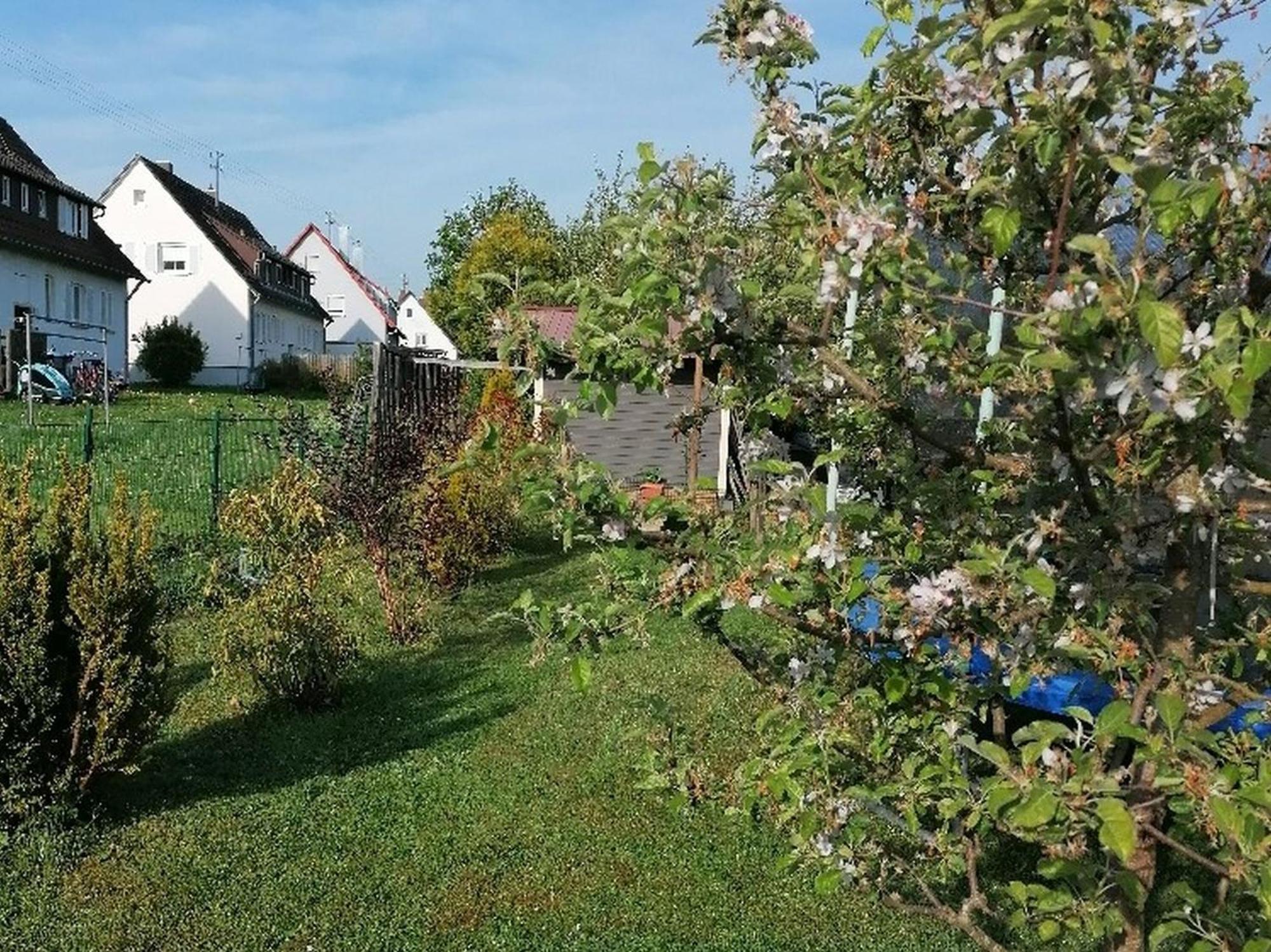 Ferienwohnung Kirsch-Kern Мёссинген Экстерьер фото