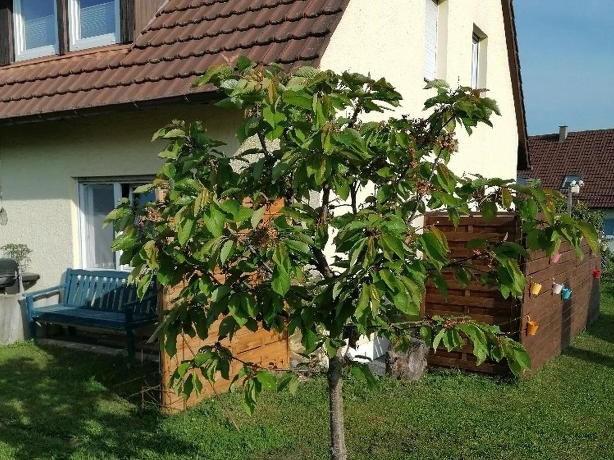 Ferienwohnung Kirsch-Kern Мёссинген Экстерьер фото